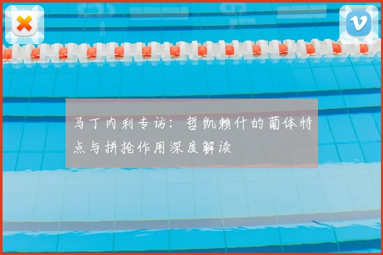 马丁内利专访：哲凯赖什的葡体特点与拼抢作用深度解读